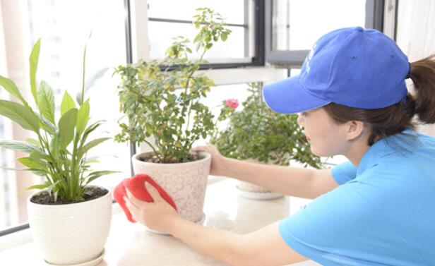 膠南保潔公司哪家比較靠譜?